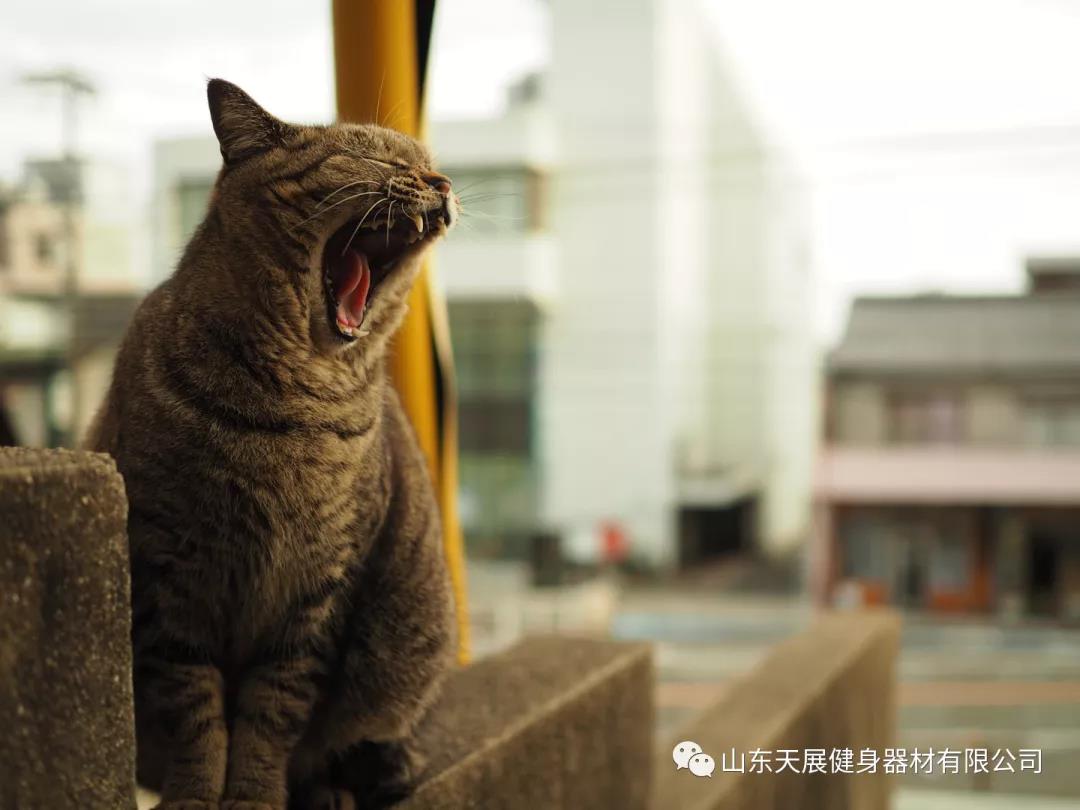 微信圖片_20210820175356.jpg 微信圖片_20210820175356.jpg