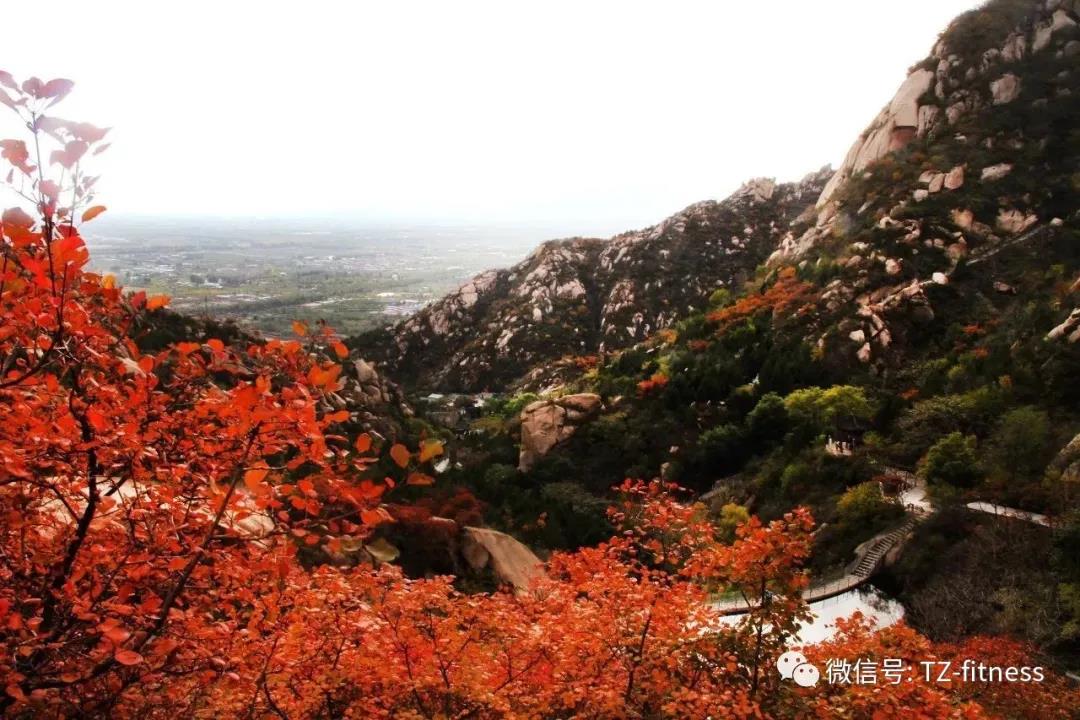 微信圖片_20210820102436.jpg 微信圖片_20210820102436.jpg