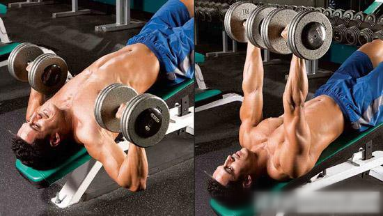 如何用啞鈴強健胸?。?>
                                <div   id=